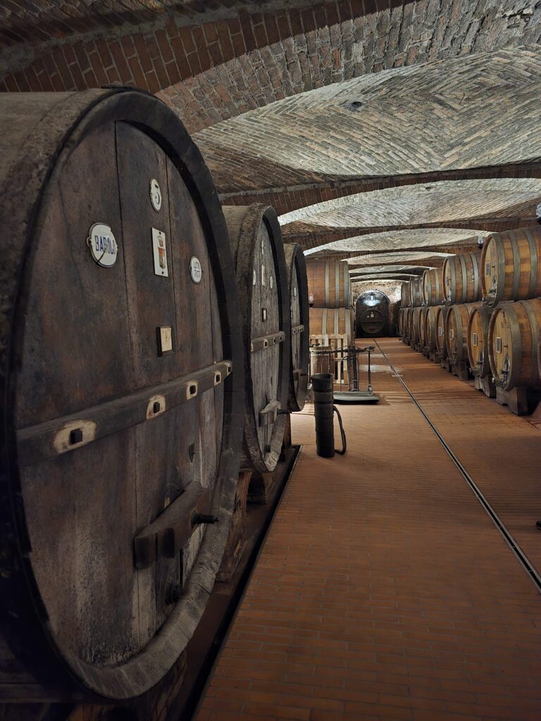 wine barrels in the cellar of Fontanafredda