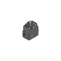 FX 301 Pizzato Position switch with plunger