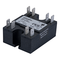 RA2A48D40 - SSR 2 POLE ZS 480V 40A RES.