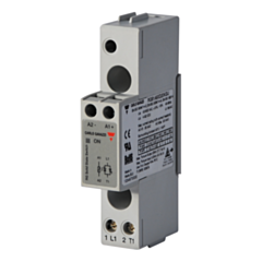 RGS1B60D30KGU - 1P-SSR-DC IN-IO 600V 30A 1200VP-U-SRW IN