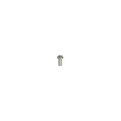 VF VAM4X10BW-X Pizzato Stainless steel security screws