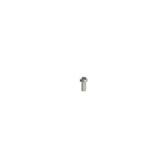 VF VAM4X10BX-X Pizzato Stainless steel security screws