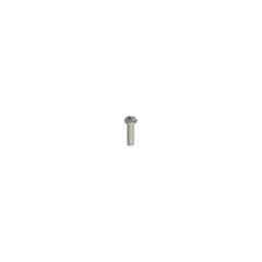 VF VAM4X15BW-X Pizzato Stainless steel security screws