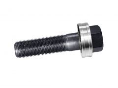 AS4055.634 Rittal Tension screw with ball bearing  x L 19 x 75mm