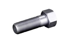 AS4055.602 Rittal Tension screw  x L 19 x 55mm